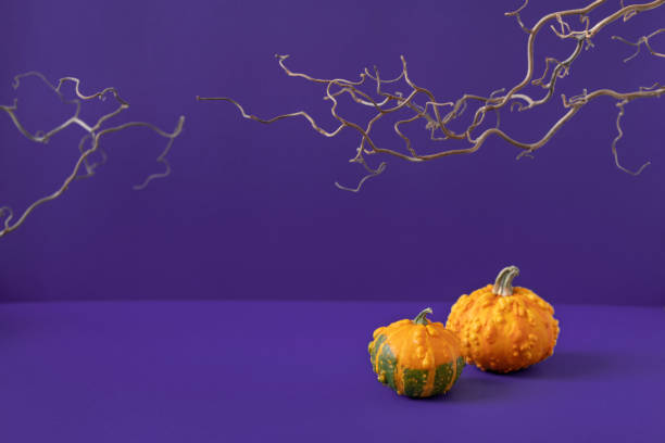 istock Two small orange decorative pumpkins and scary bare branches on purple background. Halloween concept mockup. Autumn holiday sale composition. Festive still life. Product advertising. Front view 1348029659