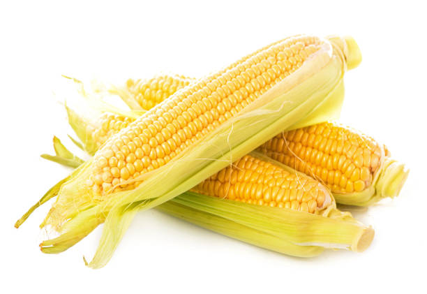 istock Corn cobs on white background. raw corn with green leaves on a white background 1348030627