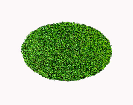 Top view of a round piece of cropped grass circle isolated on white background.