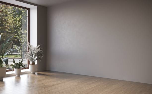 istock Empty room white walls with beautiful plants sideways on the floor. 3d rendering 1348037318