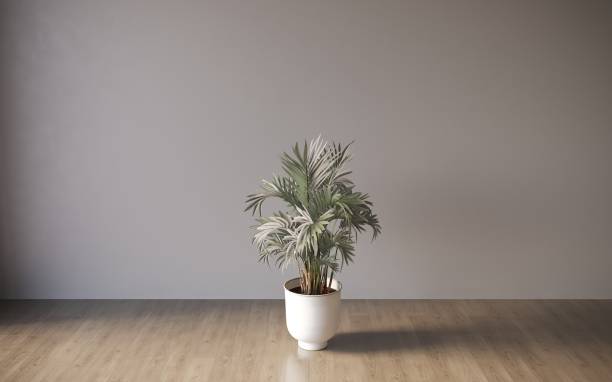 istock Empty room white walls with beautiful plants sideways on the floor. 3d rendering 1348037319