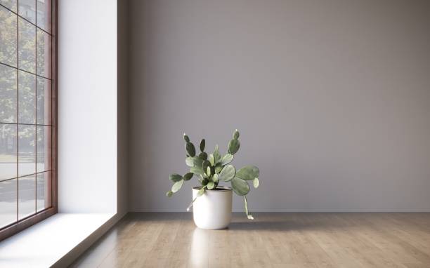 istock Empty room white walls with beautiful plants sideways on the floor. 3d rendering 1348037320