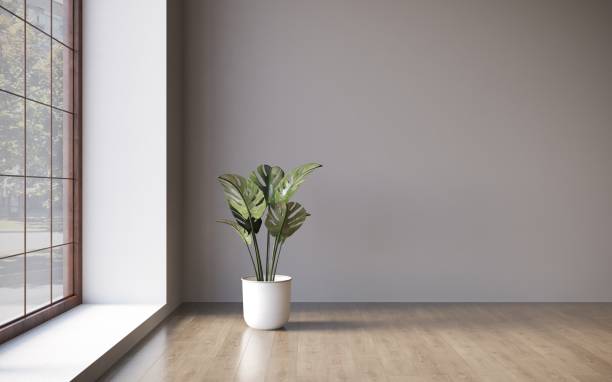 istock Empty room white walls with beautiful plants sideways on the floor. 3d rendering 1348037355