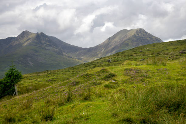 View of mountains across a grassy hillside meadow on the road between Broadford and Elgol on the Isle of Skye in Scotland. Grassy hillside meadow on the road between Broadford and Elgol on the Isle of Skye in Scotland. isle of skye broadford stock pictures, royalty-free photos & images