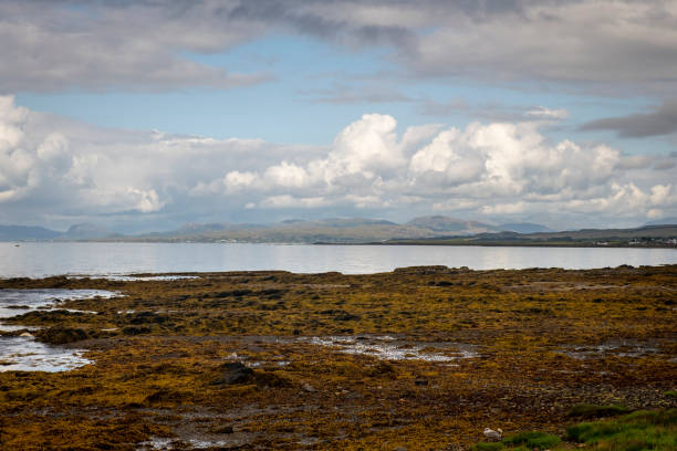 Seaweed covers the shoreline of Loch Slapin between Broadford and Elgol on the Isle of Skye in Scotland. Seaweed covers the beach alongside Loch Slapin between Broadford and Elgol on the Isle of Skye in Scotland. isle of skye broadford stock pictures, royalty-free photos & images