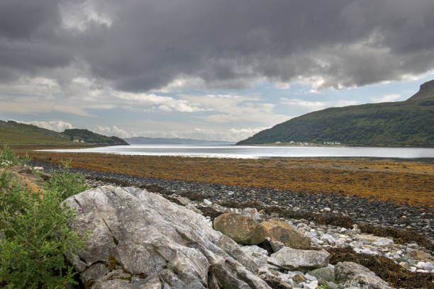 The seaweed covered beach alongside Loch Slapin between Broadford and Elgol on the Isle of Skye in Scotland. Seaweed covers the beach alongside Loch Slapin between Broadford and Elgol on the Isle of Skye in Scotland. isle of skye broadford stock pictures, royalty-free photos & images