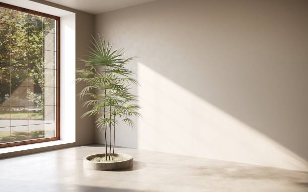 istock Empty room white walls with beautiful plants sideways on the floor. 3d rendering 1348037711