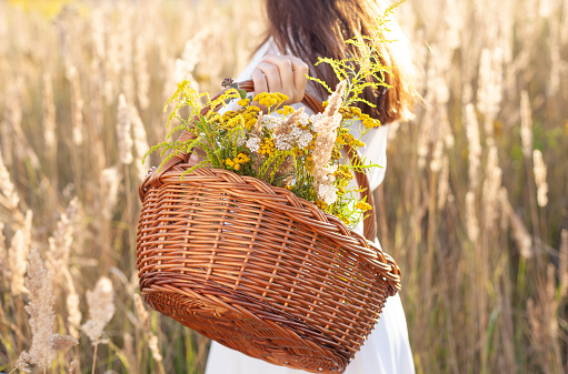 Retro looking woman with a basket of flowers, herbs. Close-up