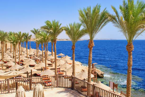 Idylic hotel beach with sun umbrelas, Red Sea, Egypt