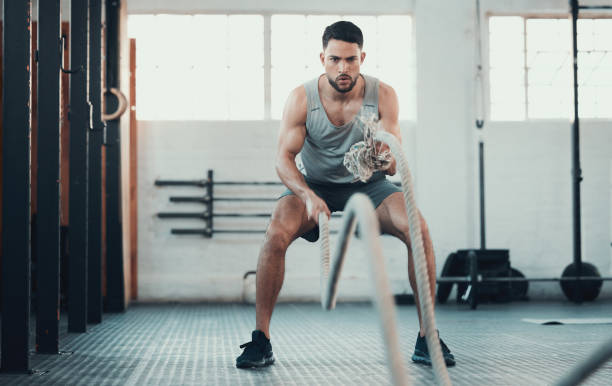 Free picture: bodybuilding, man, portrait, recreation, equipment ...