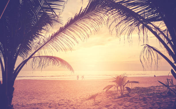 istock Tropical beach with palm trees silhouettes at sunset. 1348040071