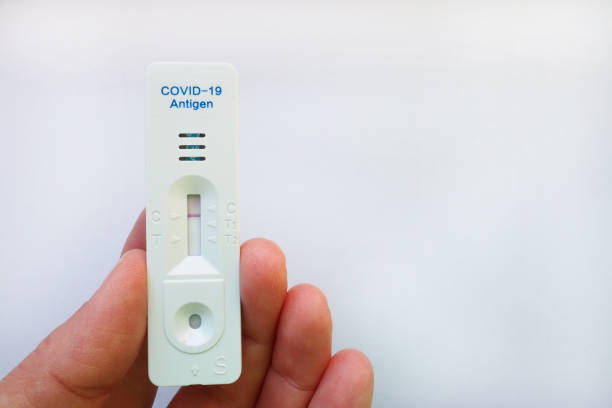 istock The test result for COVID-19 is negative, not infected, using rapid testing equipment. Test for coronavirus on the hand, white background. Copy space. Testing Concept Coronavirus Disease infection. 1348040281
