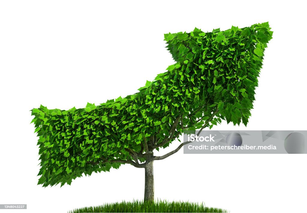 Dynamic Arrow Tree Green Arrow Shaped Tree Stock Photo - Download Image Now - Cut Out ...