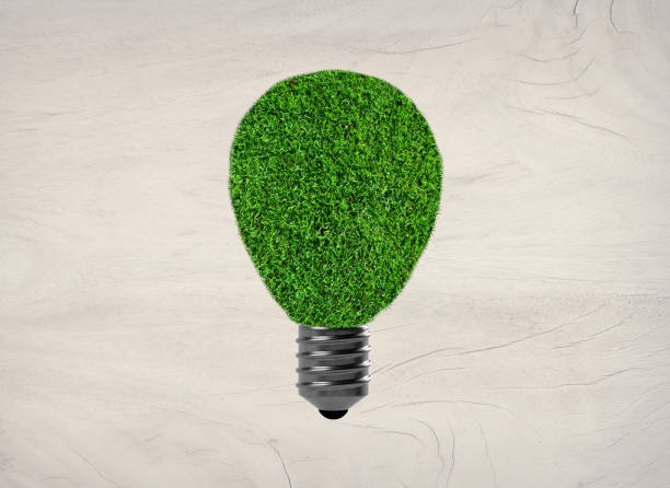istock Light bulb with green grass on white background. Concept for eco friendly green energy, renewable energy. 1348043929