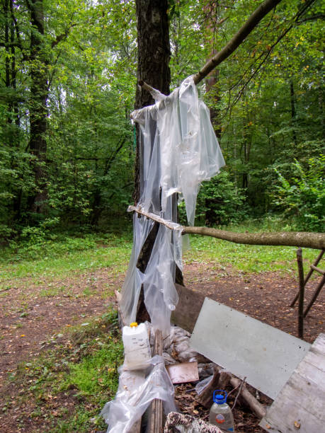 istock garbage in the forest after tourists 1348044236