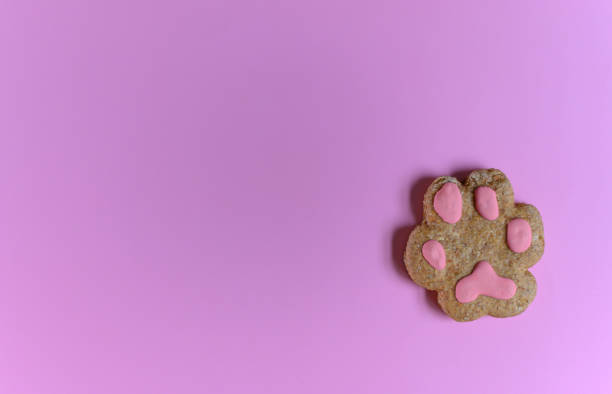 Close up delicious dog cookie , cookie in the shape of paw print for chewing copy space on pink background. For pet food advertising Close up delicious dog cookie , cookie in the shape of paw print for chewing copy space on pink background. For pet food advertising. paw photos stock pictures, royalty-free photos & images