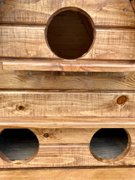 istock house for birds with wood and board 1348050314