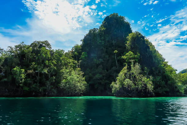 istock Tropical island - Indonesia 1348050928