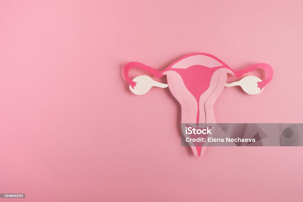 Women's health, reproductive system concept. Decorative model uterus made frome paper on pink background. Top view, copy space Uterus Stock Photo