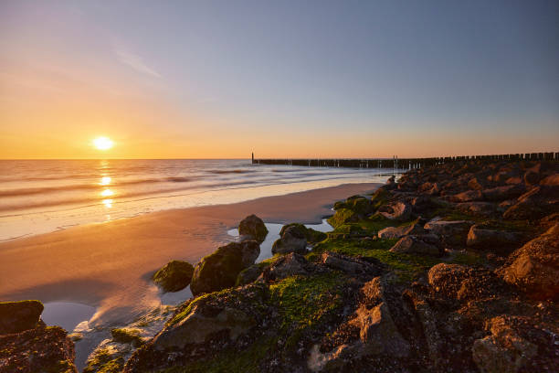 istock Beach of Zeeland during sunset 1348053362