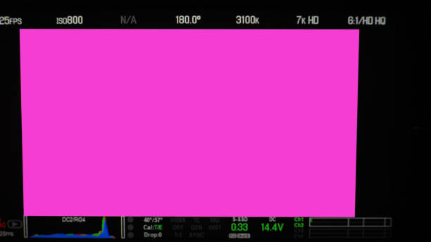 Video recording screen. Professional camera viewfinder frame on monitor screen. Screen showing status of red green blue color graph FPS and ISO number and setting data for videographer. film industry. pantalla de grabación de vídeo. marco del visor de la cámara profesional en la pantalla del monitor. pantalla que muestra el estado del gráfico de color rojo verde azul fps y el número iso y los datos de configuración para el videógrafo. industria c