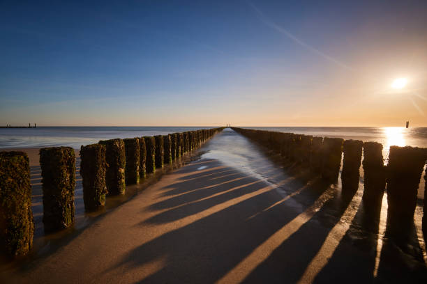 Two rows of poles on the beach of Zeeland, the Netherlands, on a sunny day. The sky is clear blue and the poles create shadows on the sand. The water reflects the bright shining sun.
