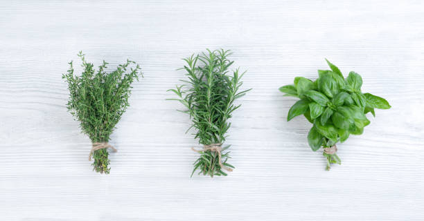 istock Bunches of fresh italian herbs 1348055663