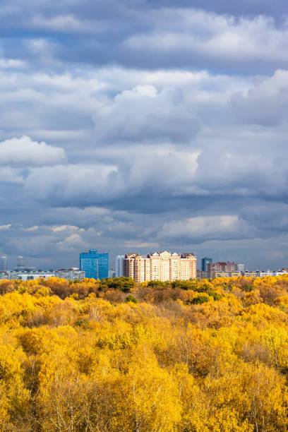 istock rainy clouds over yellow forest and modern houses 1348061524