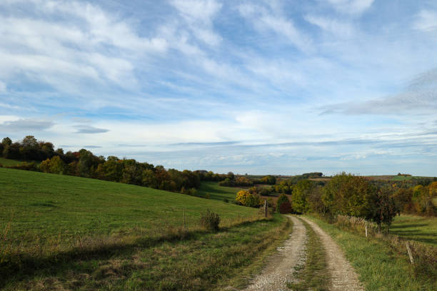 istock Autumn landscape with green meadows and fields 1348063689