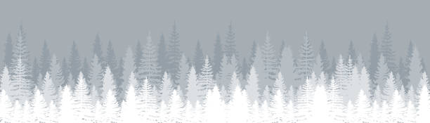 illustrazioni stock, clip art, cartoni animati e icone di tendenza di paesaggio invernale con foresta di abeti innevati. pini. set di pino, abete rosso e albero di natale. sfondo della foresta. vista panoramica. illustrazione vettoriale - fir tree