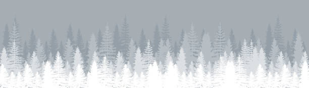ilustrações de stock, clip art, desenhos animados e ícones de winter landscape with snowy fir forest. pines. set of pine, spruce and christmas tree. forest background. panorama view. vector illustration - snow tree