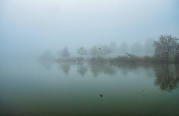 istock Park in winter with fog 1348067137