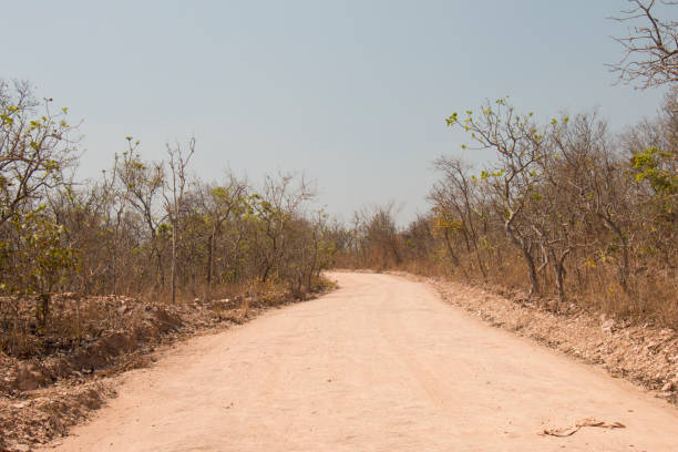 istock Dirt road in dry cerrado 1348073193