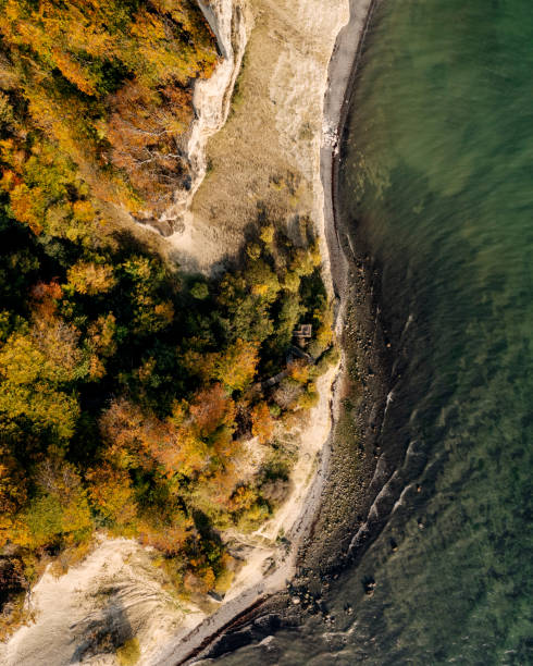 istock Bird's eye view of the cliffs at Moens Klint in Denmark 1348074875