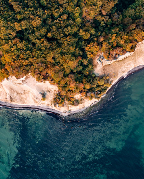 istock Bird's eye view of the cliffs at Moens Klint in Denmark 1348075495
