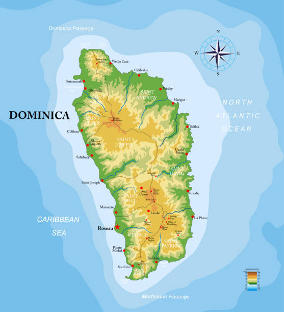 ilustrações de stock, clip art, desenhos animados e ícones de dominica island highly detailed physical map - sao martinho