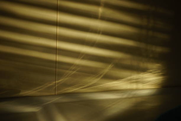 istock wall with golden light and black shadows from blinds 1348077895