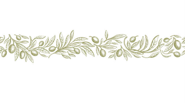 оливковая каймка, деревенский бесшовный узор. векторная полоса - italian culture stock illustrations