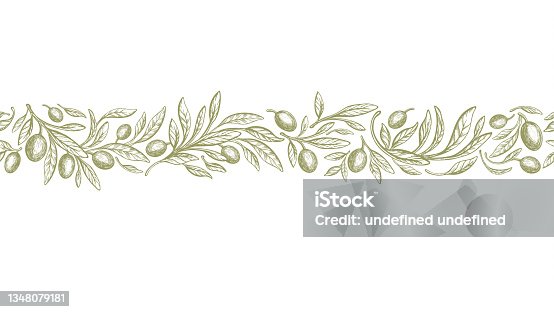 istock Olive border, rustic seamless pattern. Vector band 1348079181