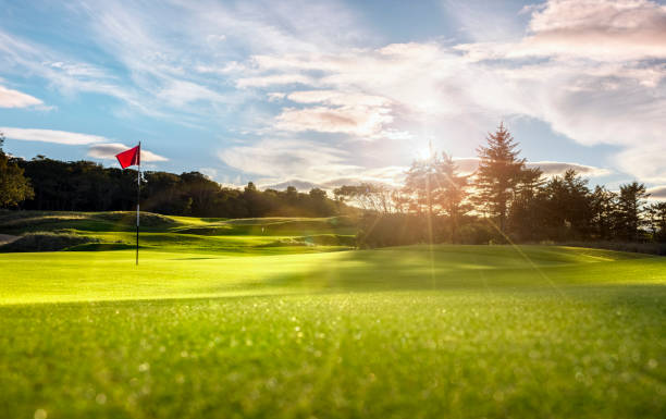 Golf course putting green with flag at sunset stock photo