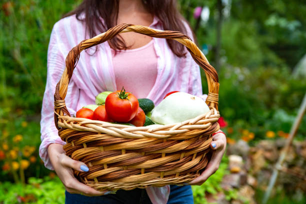 istock Hands holding basket of fresh summer vegetables 1348086652