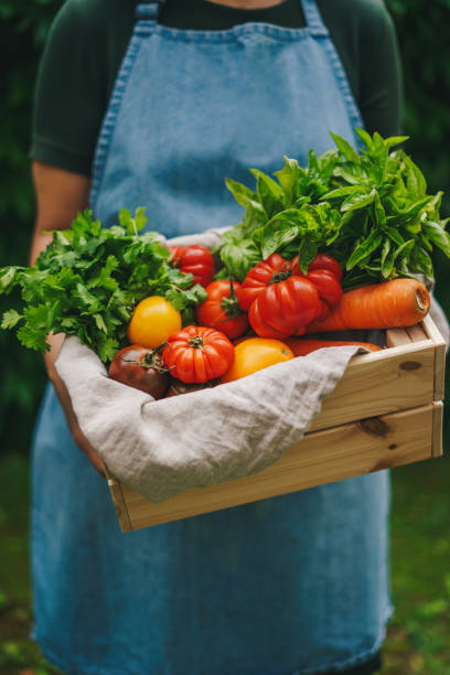 femme tenant une caisse avec des légumes biologiques - organic farmers market market vegetable photos et images de collection