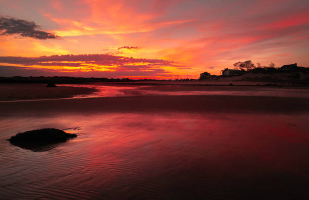 istock Dramatic seascape at sunrise with pink light reflections on the smooth beach on Cape Cod 1348089125