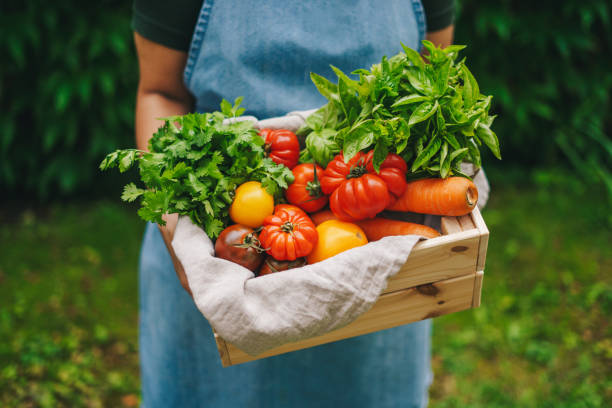 istock Woman holding a crate with organic vegetables 1348089129