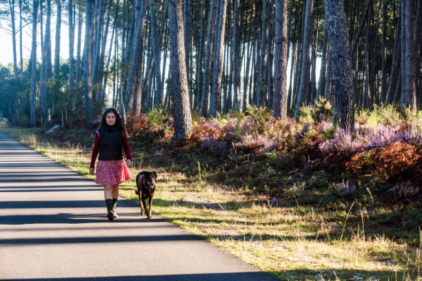 istock middle-aged woman walking in the forest with her dog 1348089165