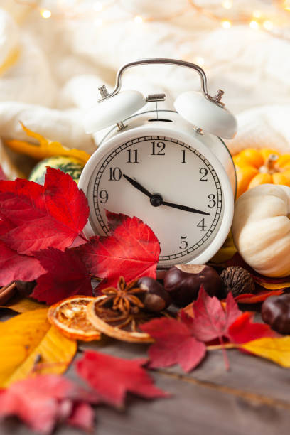istock Daylight savings and fall time change concept. Autumn composition with retro alarm clock, bright yellow and red leaves, pumpkins, wallnut, cinnamon, anise. Cozy home atmosphere. Close-up 1348089901