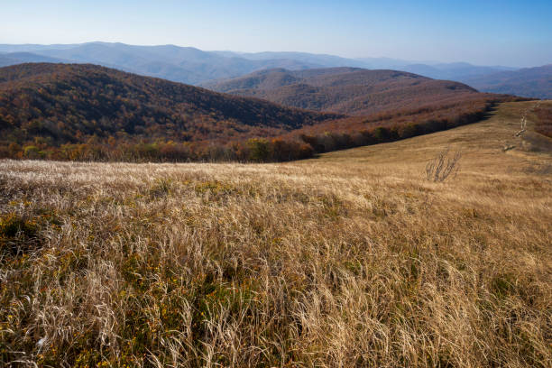 istock Autumn in the Bieszczady Mountains. 1348091185