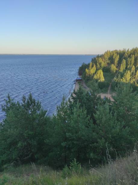 nature near the volga river. the coast with trees and other vegetation. the volga river in russia. - grass church flood landscape imagens e fotografias de stock