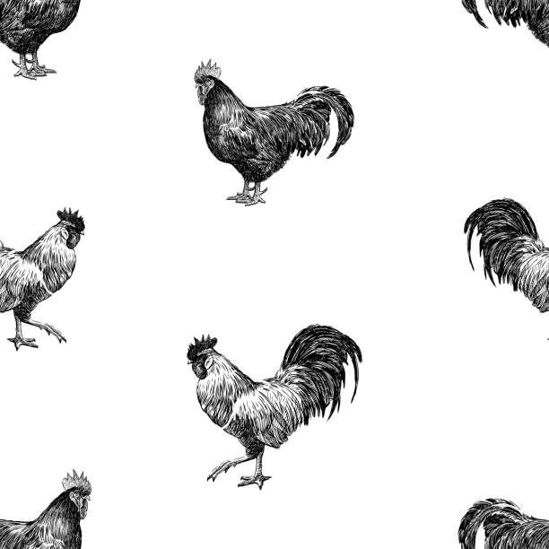 黒と白の農場の雄鶏をスケッチのシームレスな背景 - 雄鶏点のイラスト素材／クリップアート素材／マンガ素材／アイコン素材