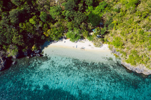 istock Top down view of tropical landscape 1348098685
